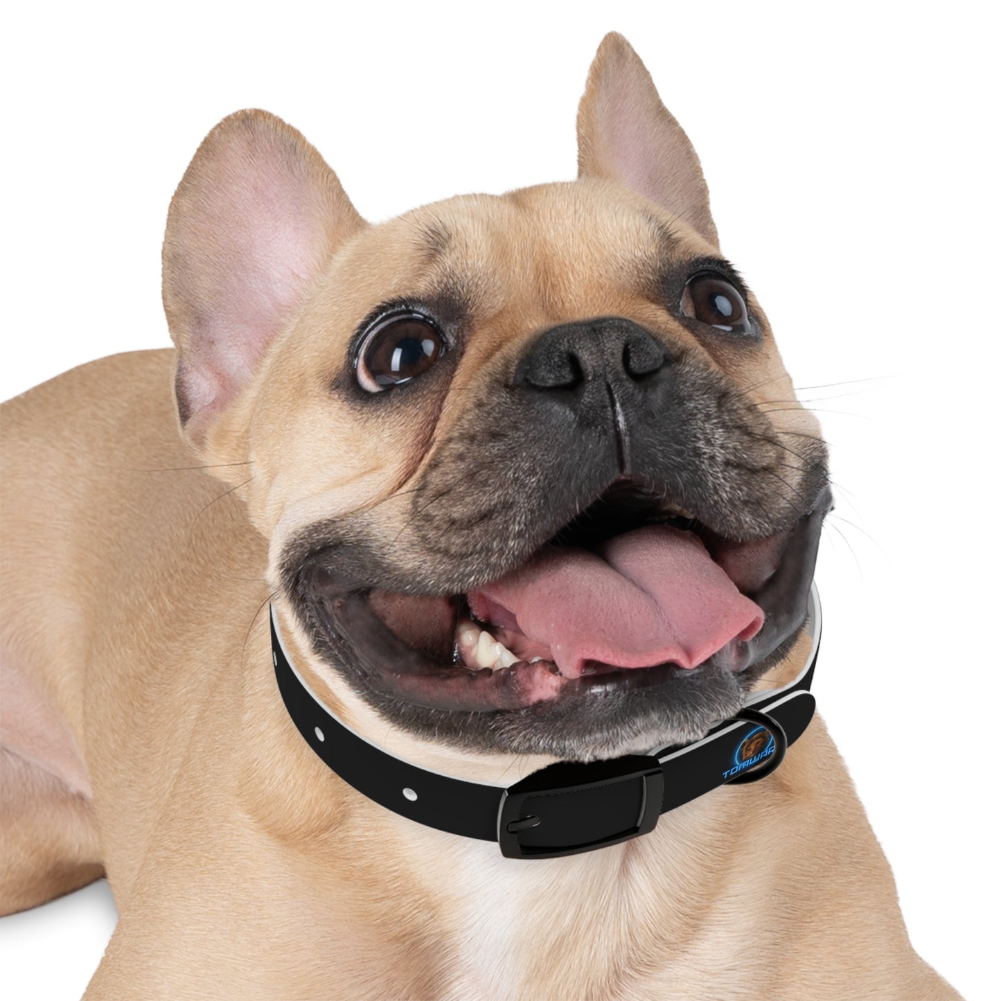 Dog Collar